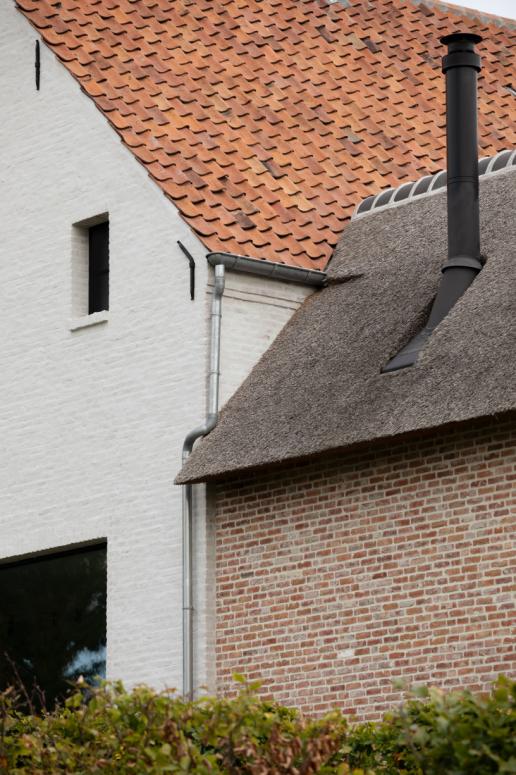 Magnus Villas  Kwakkelbosstraat 09 2025 12 lowres