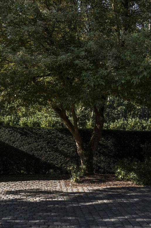 Magnusvillas Vosselaar 51